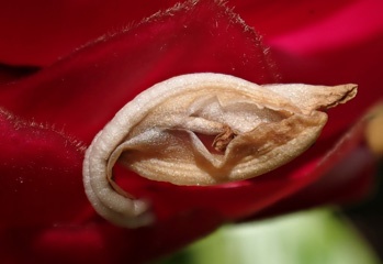 P4288201a.jpg